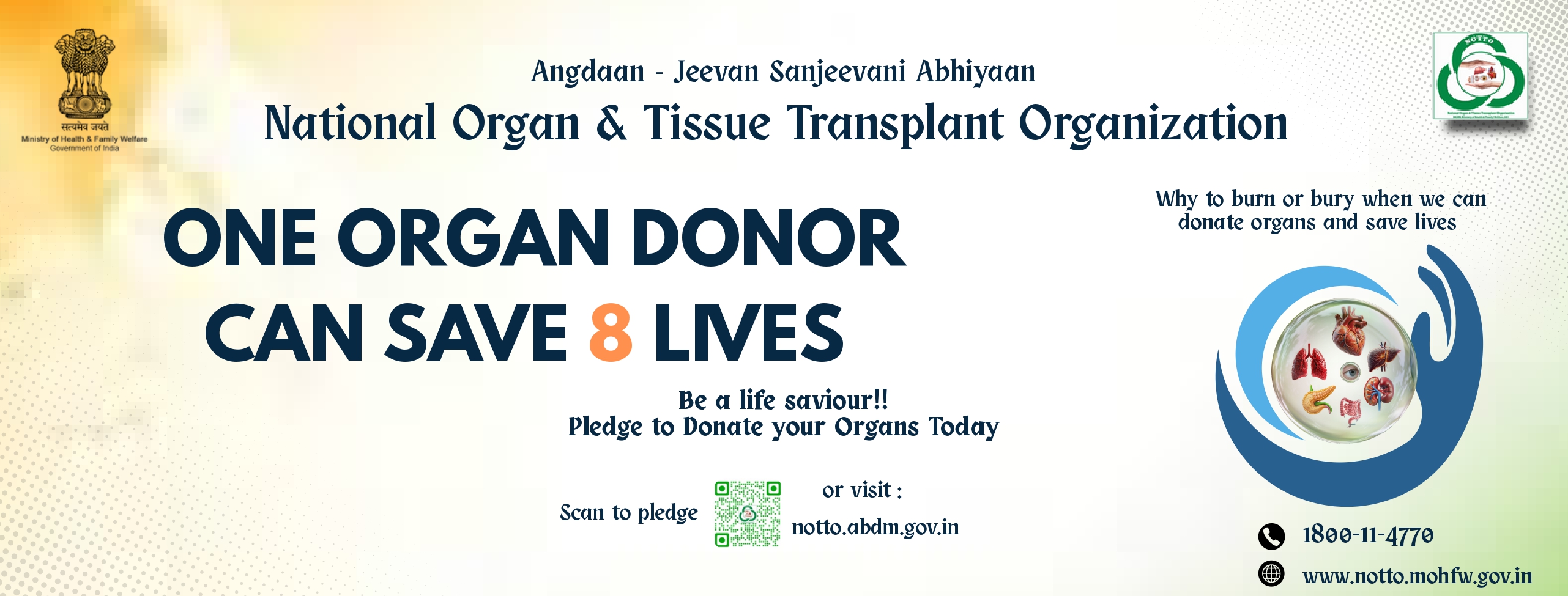 National Organ & Tissue Transplant Organization